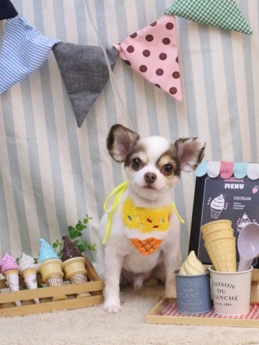 20250525トキくん